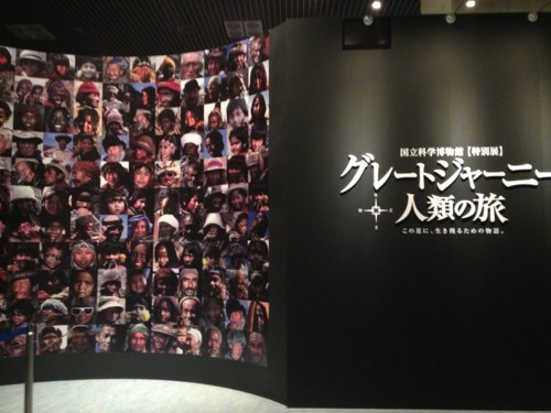 国立科学博物館でたぬきフォントが使われていた ちくちく日記 国立科学博物館でたぬきフォントが使われていた ちくちく日記