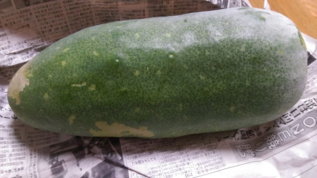 f:id:akaneeita1030i:20161125100201j:plain f:id:akaneeita1030i:20161125100201j:plain