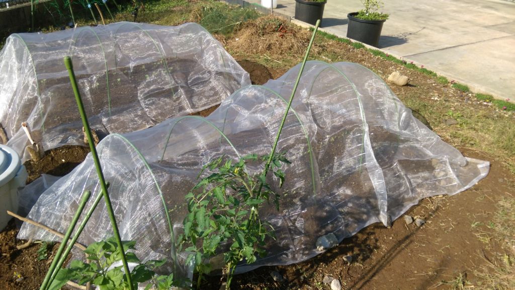 f:id:akaneeita1030i:20161125102622j:plain