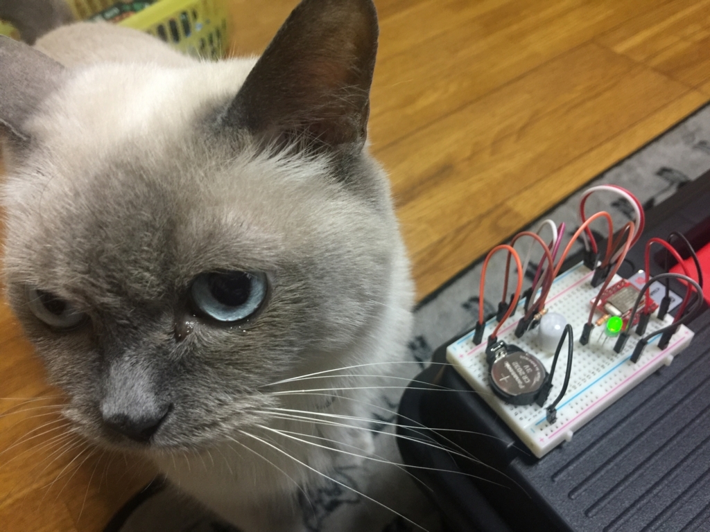 f:id:akanuma-hiroaki:20171014135212j:plain f:id:akanuma-hiroaki:20171014135212j:plain