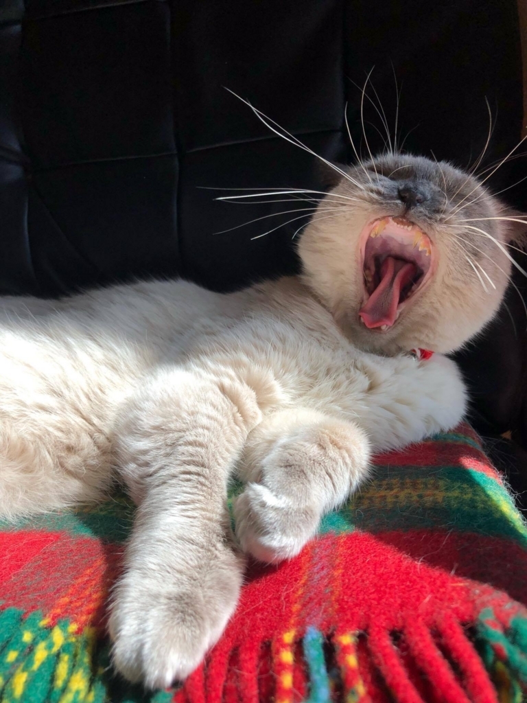 f:id:akanuma-hiroaki:20171014140347j:plain:w300:left f:id:akanuma-hiroaki:20171014140347j:plain:w300:left