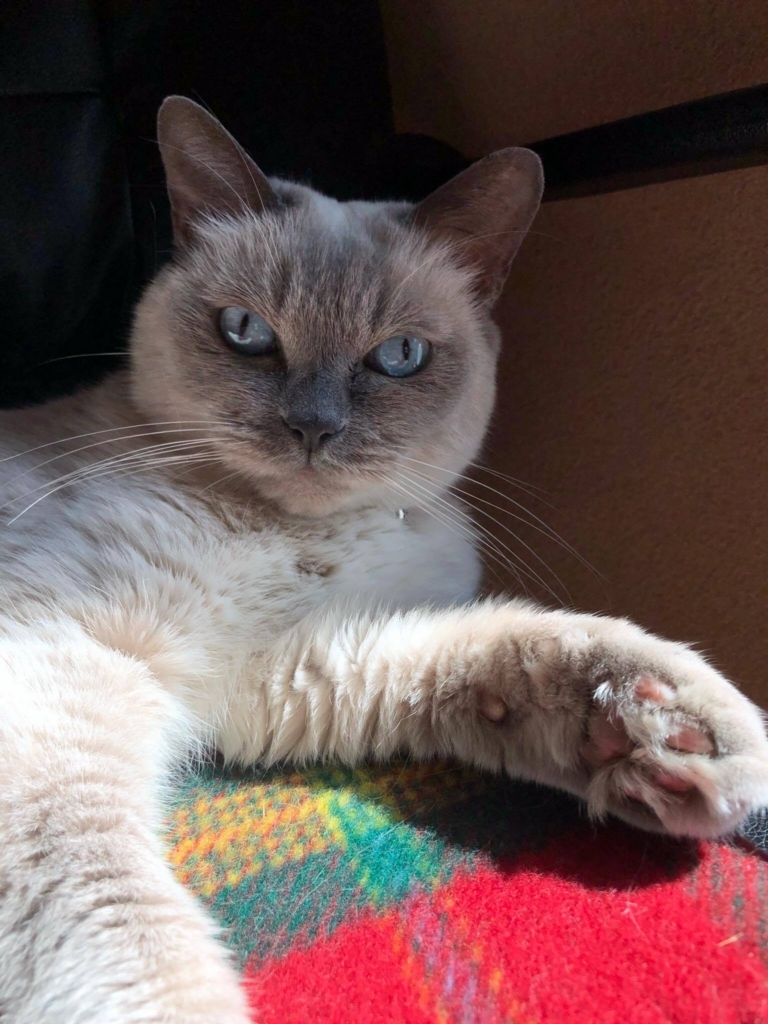 f:id:akanuma-hiroaki:20171015002714j:plain:w300 f:id:akanuma-hiroaki:20171015002714j:plain:w300