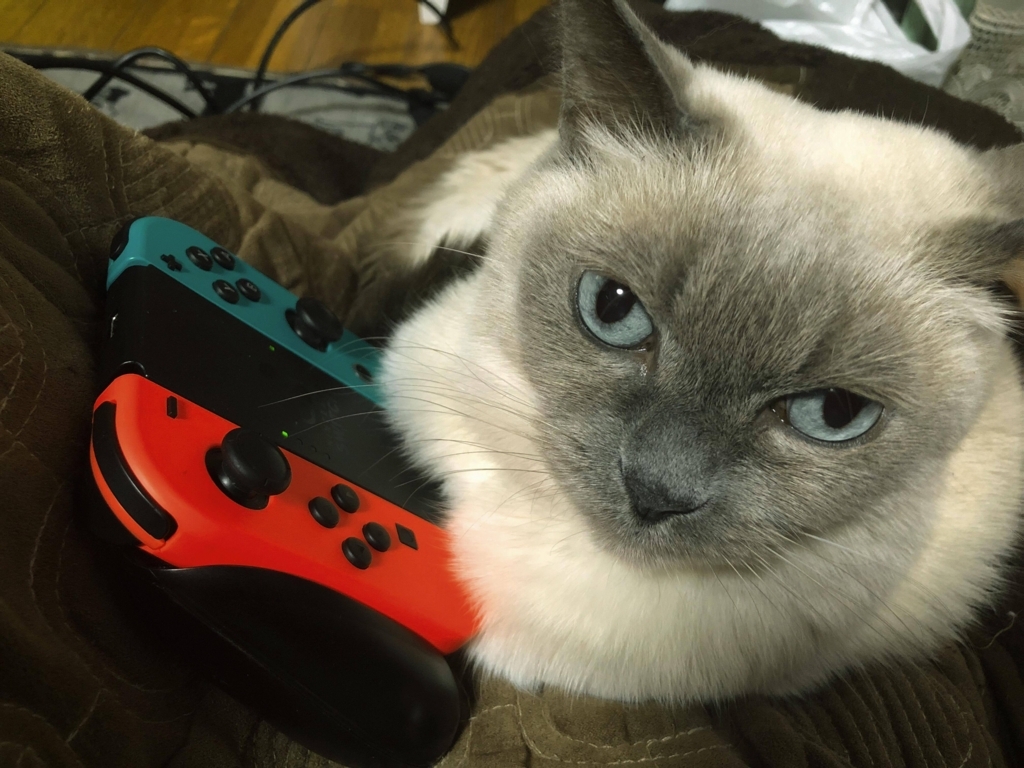 f:id:akanuma-hiroaki:20171113235330j:plain:w450 f:id:akanuma-hiroaki:20171113235330j:plain:w450