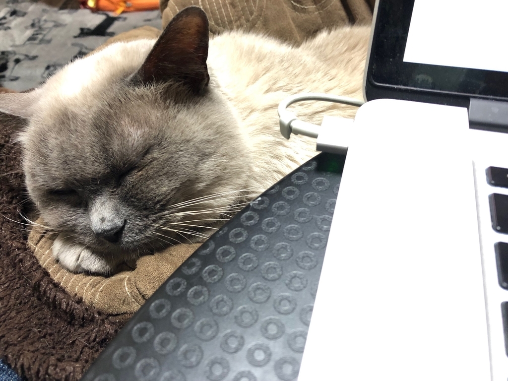 f:id:akanuma-hiroaki:20190309233114j:plain:w400 f:id:akanuma-hiroaki:20190309233114j:plain:w400