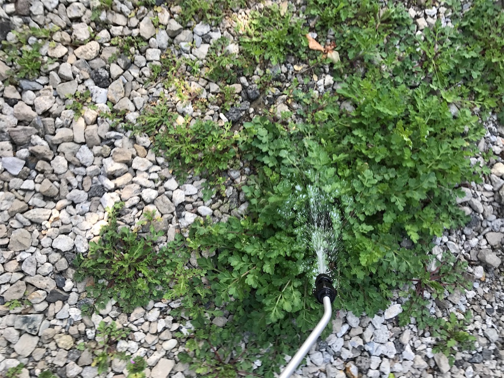 f:id:akaoniaooni:20170414150103j:image f:id:akaoniaooni:20170414150103j:image