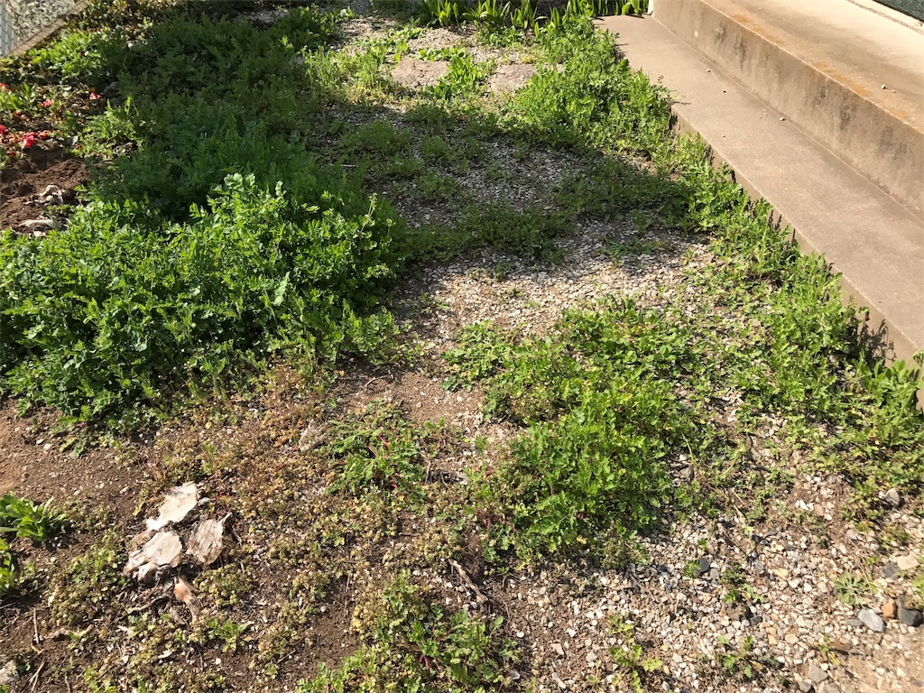 f:id:akaoniaooni:20170414150115j:image f:id:akaoniaooni:20170414150115j:image