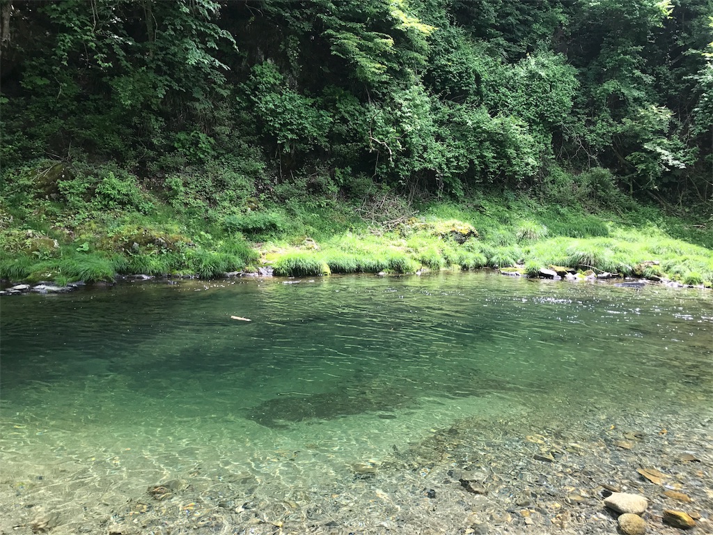 f:id:akaoniaooni:20170612053440j:image