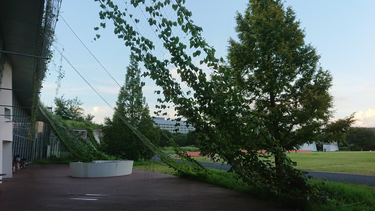 f:id:akaoto:20190814233738j:plain