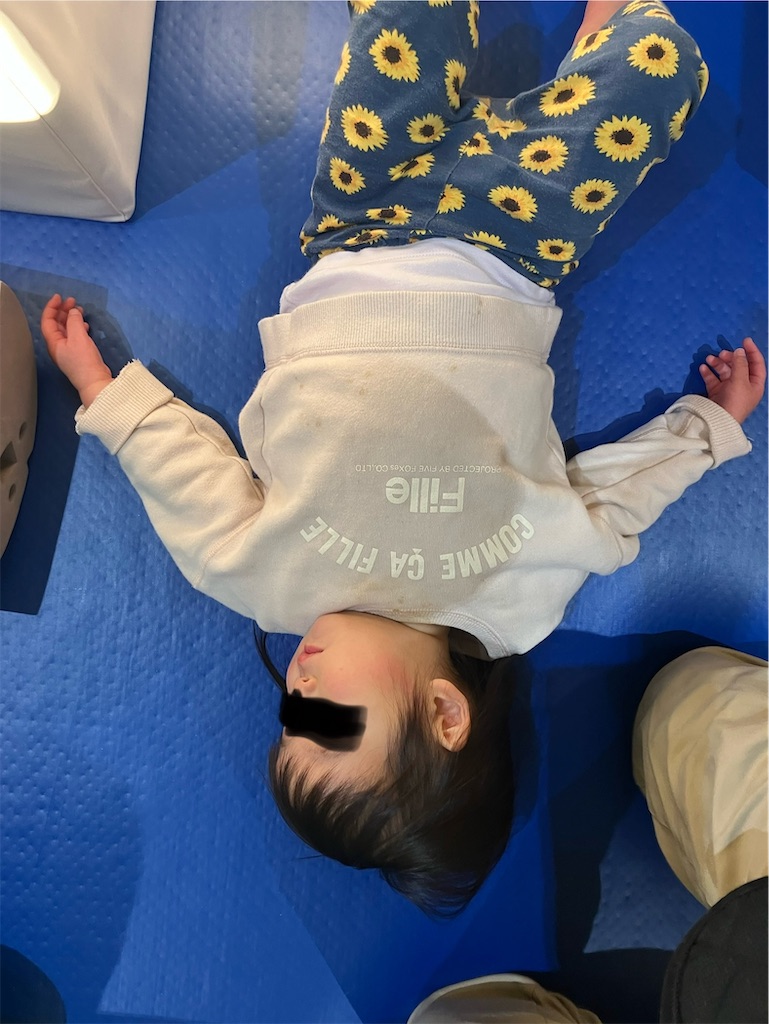 f:id:akapapachannel:20250113234422j:image