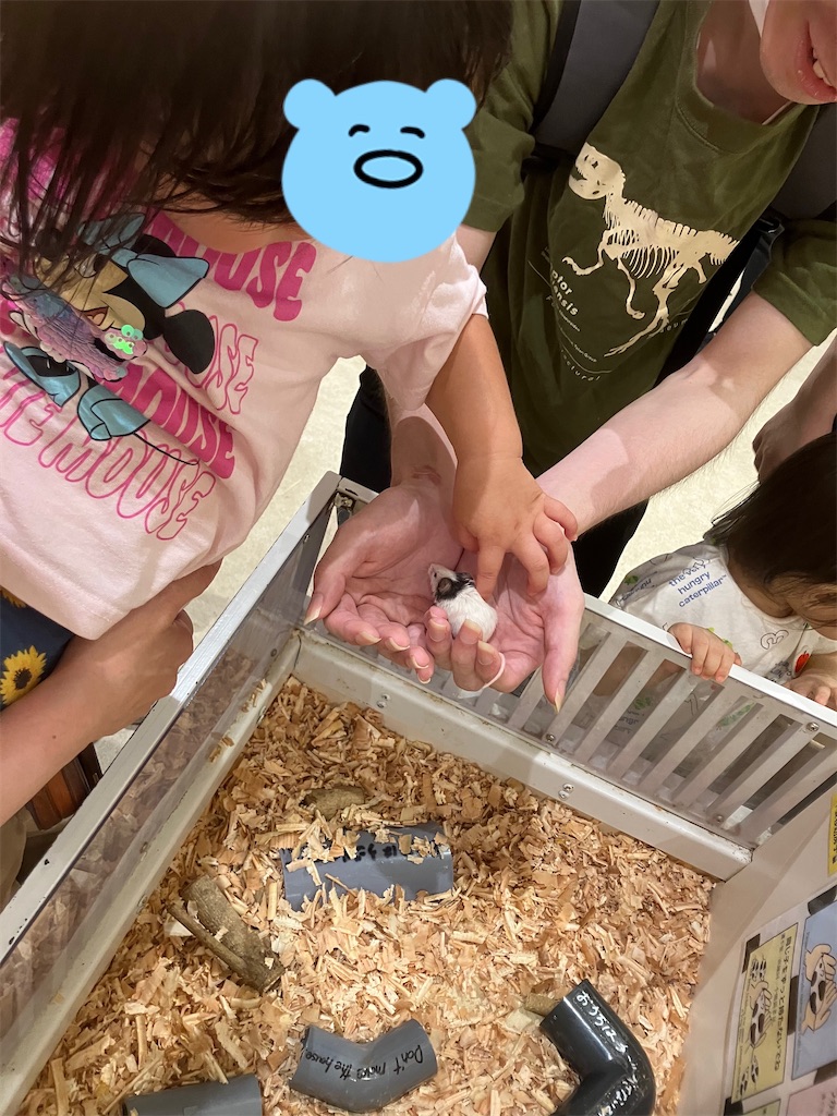 f:id:akapapachannel:20250906215321j:image f:id:akapapachannel:20250906215321j:image