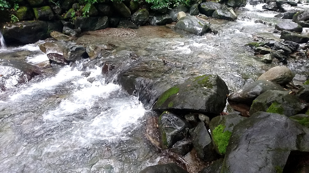 f:id:akapus:20190829221042j:plain