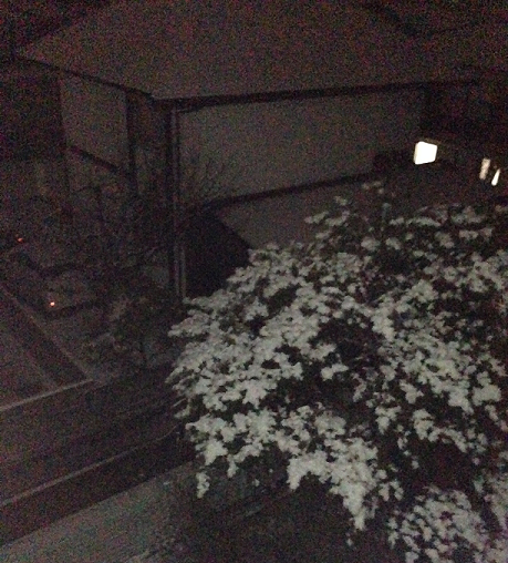 f:id:akari-hobby:20180212015850p:plain