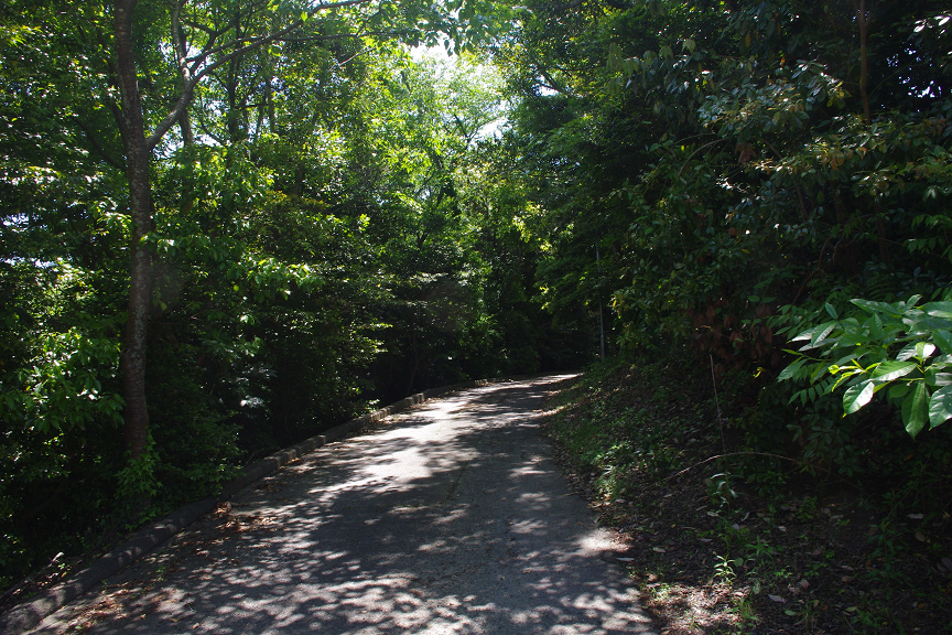 f:id:akari-hobby:20180604074602p:plain