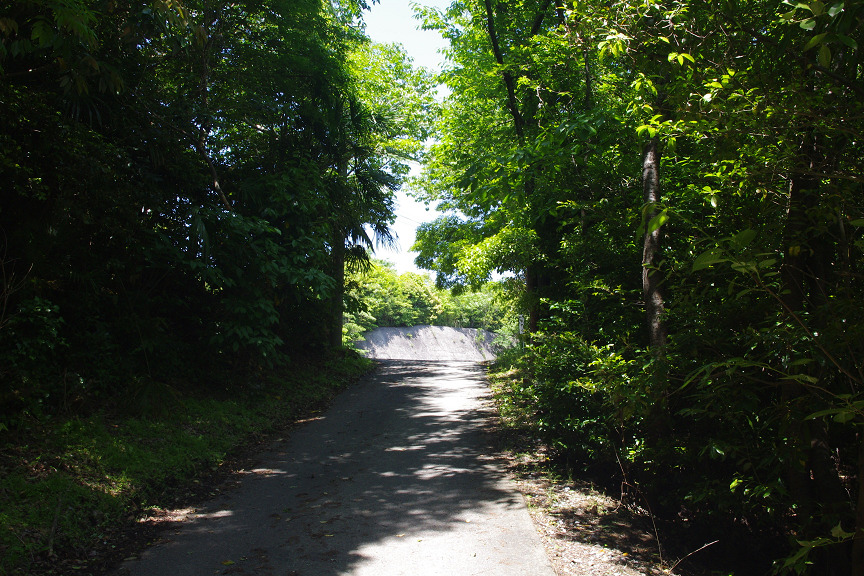 f:id:akari-hobby:20180604075531p:plain