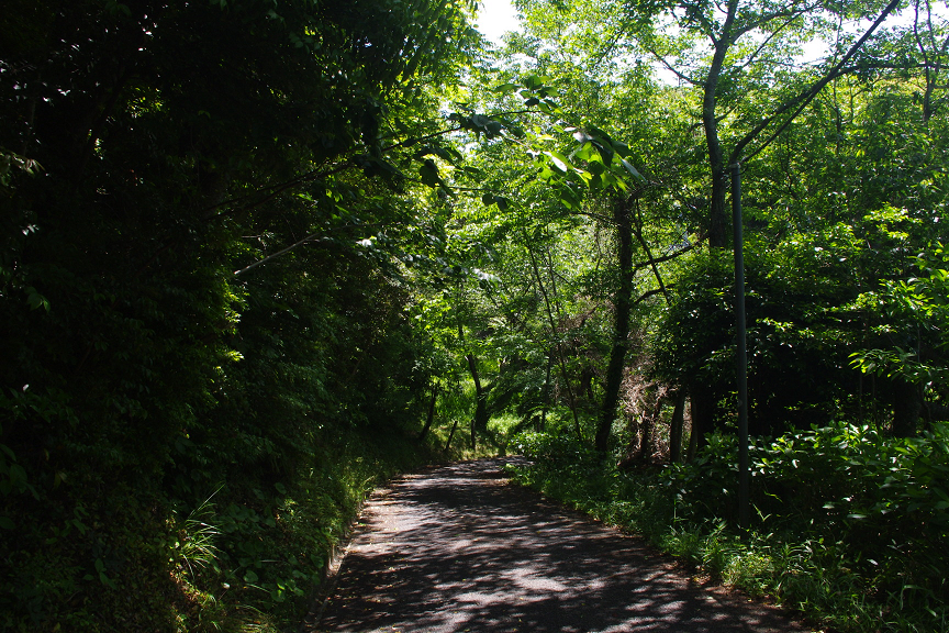 f:id:akari-hobby:20180604080717p:plain