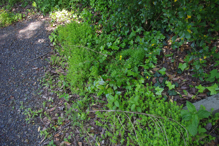 f:id:akari-hobby:20180604080852p:plain