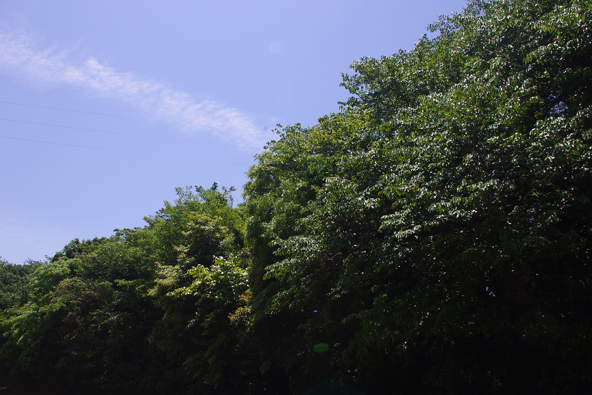 f:id:akari-hobby:20180604082143p:plain