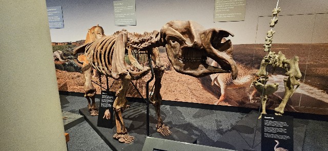 f:id:akari_suzuki:20250815163252j:image f:id:akari_suzuki:20250815163252j:image