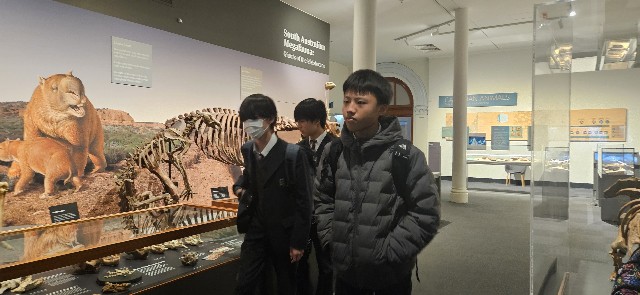 f:id:akari_suzuki:20250815163325j:image f:id:akari_suzuki:20250815163325j:image