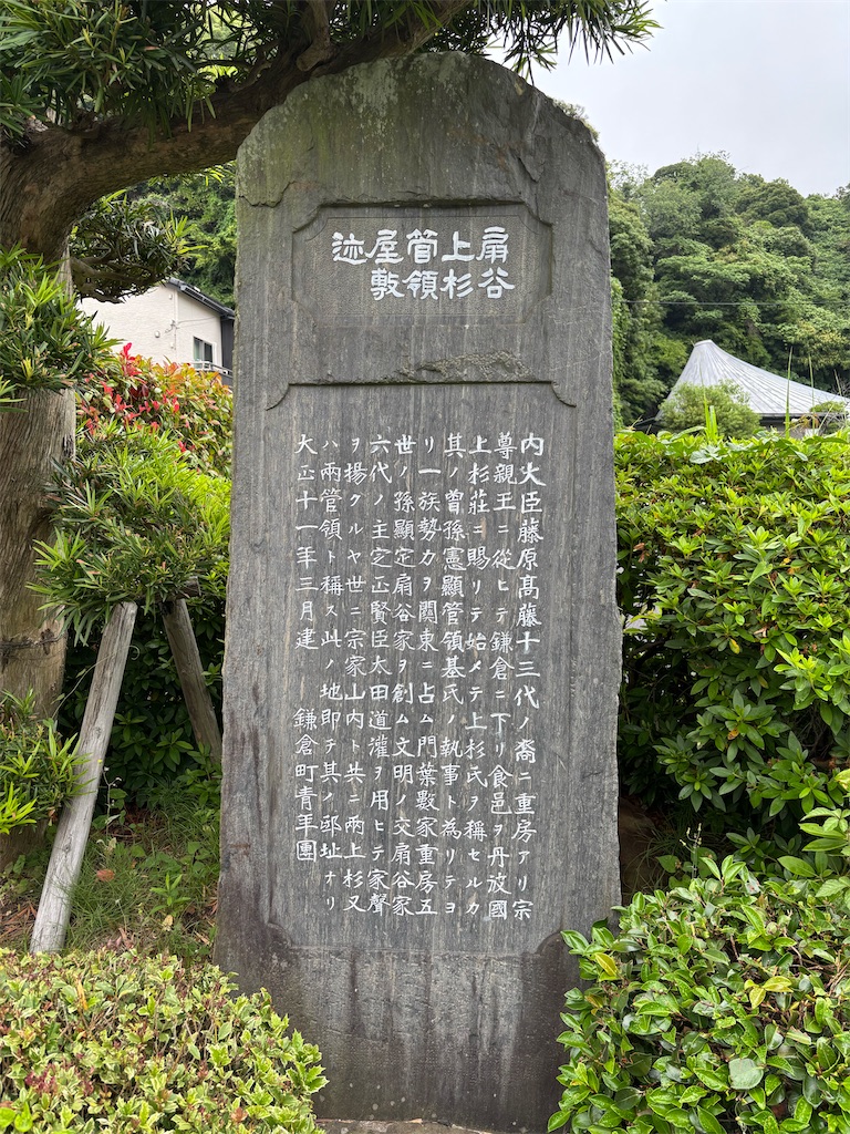 f:id:akariakaza:20260617215003j:image
