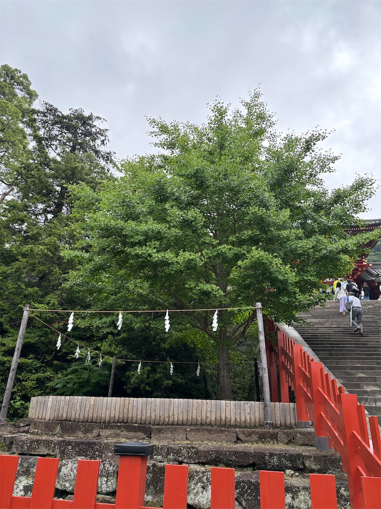 f:id:akariakaza:20260617224712j:image