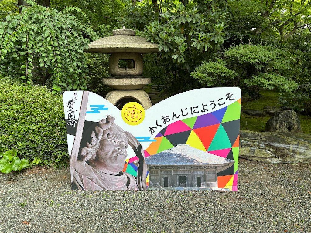 f:id:akariakaza:20260617224908j:image