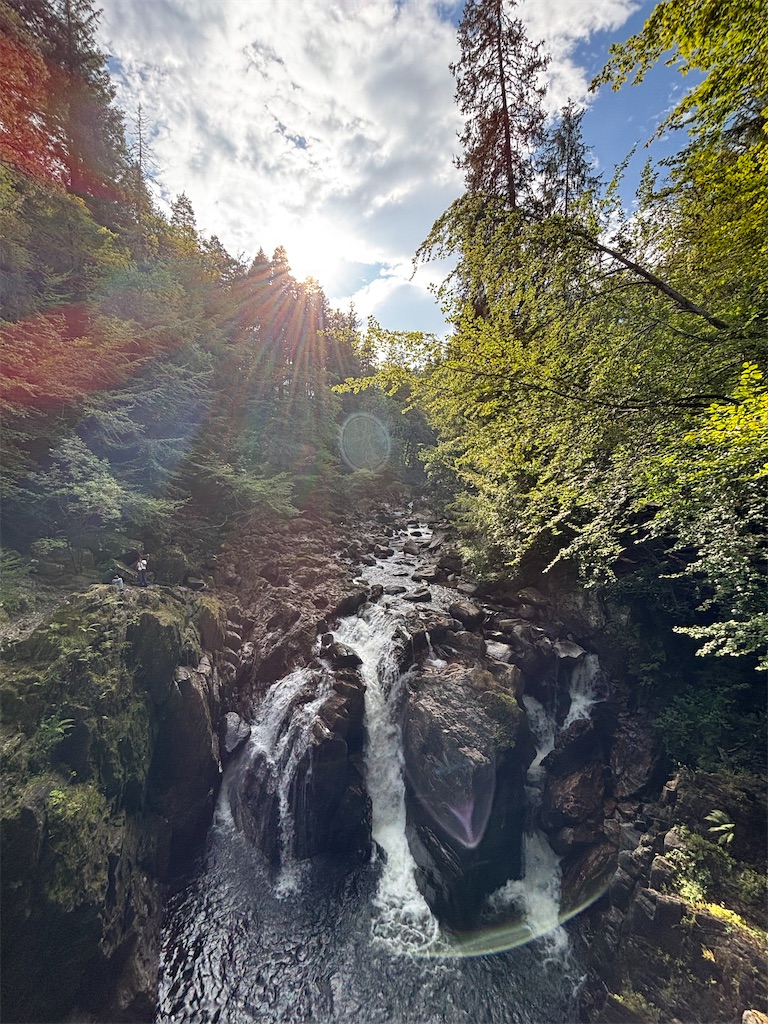 f:id:akariakaza:20260903023850j:image