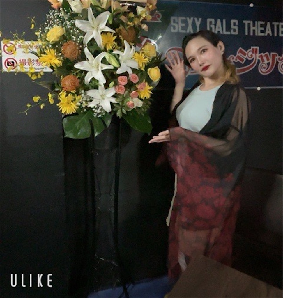 f:id:akarialica:20241207121213j:image