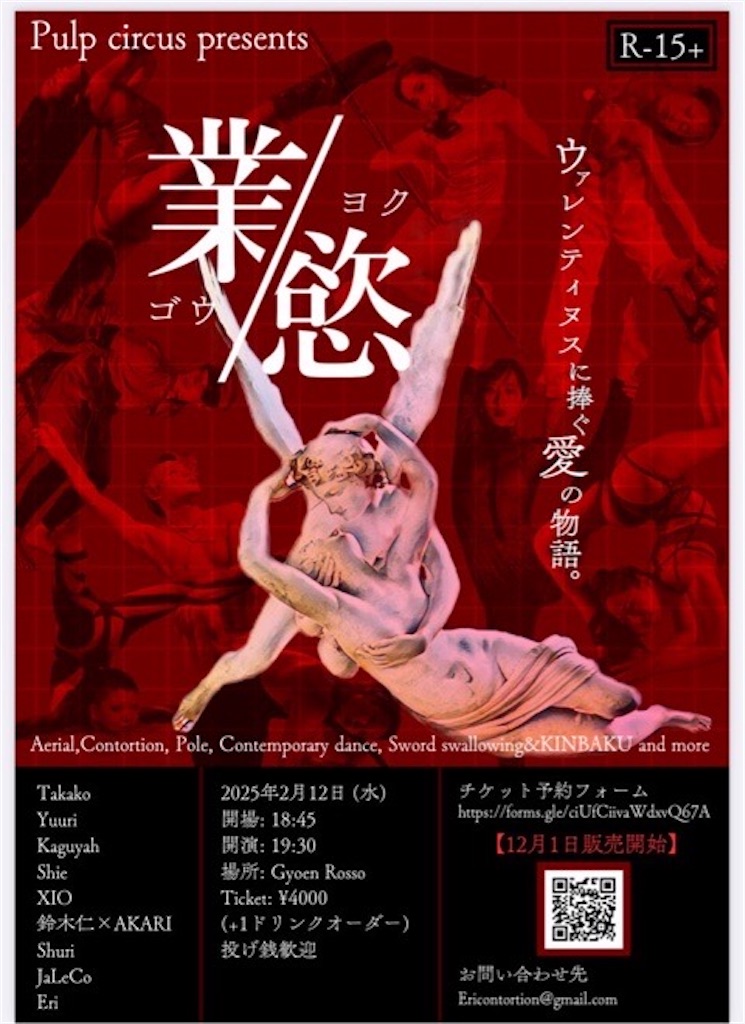 f:id:akarialica:20241230154411j:image