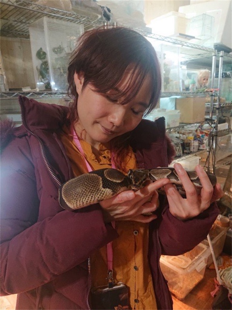 f:id:akarialica:20250201125426j:image