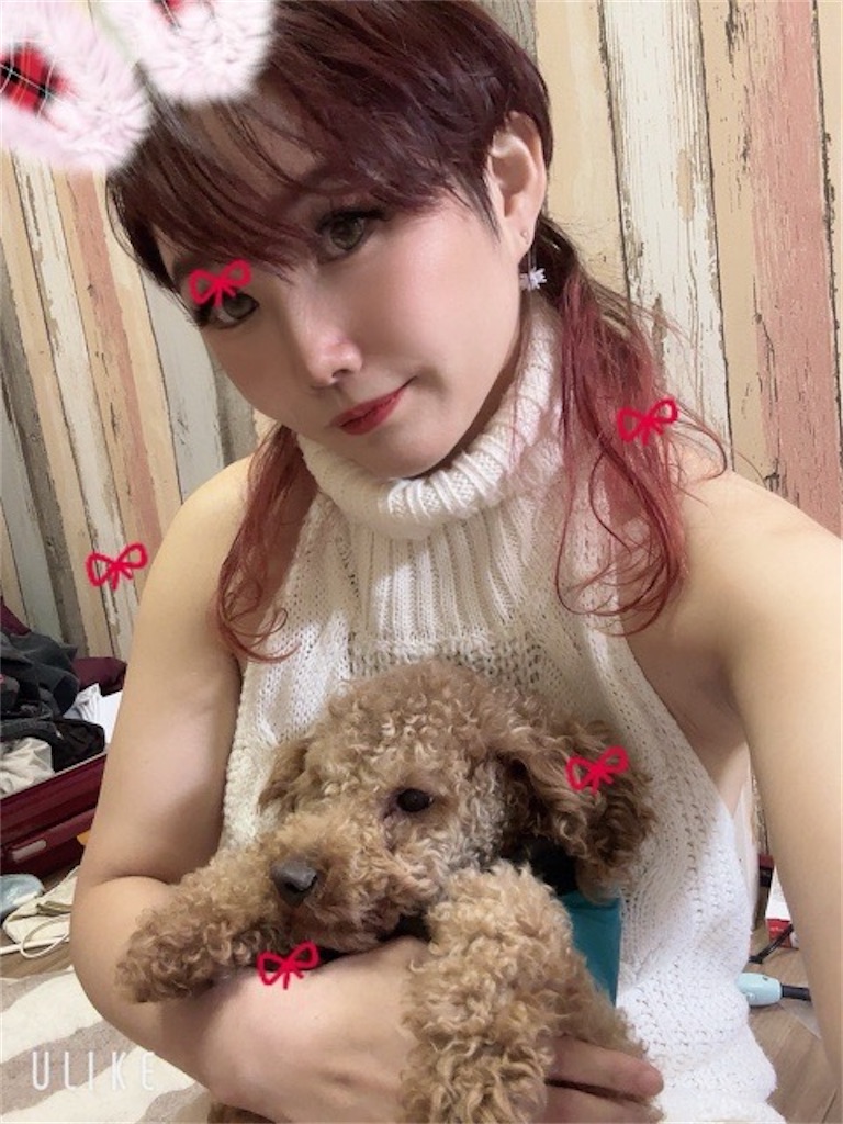f:id:akarialica:20250201125434j:image