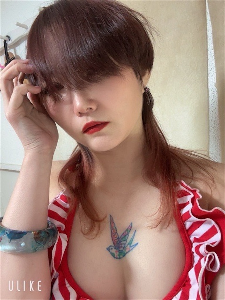 f:id:akarialica:20250201125513j:image