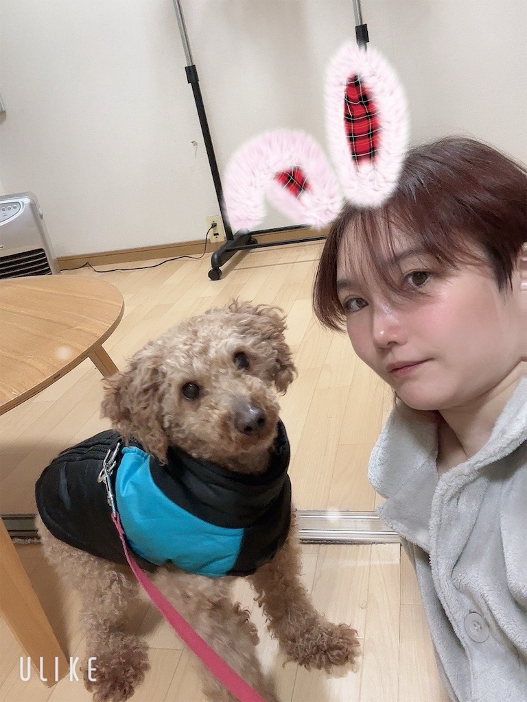 f:id:akarialica:20250302132657j:image