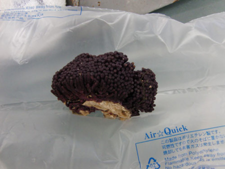 f:id:akaricenter:20091204162129j:image f:id:akaricenter:20091204162129j:image