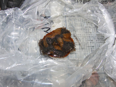 f:id:akaricenter:20091204162130j:image f:id:akaricenter:20091204162130j:image