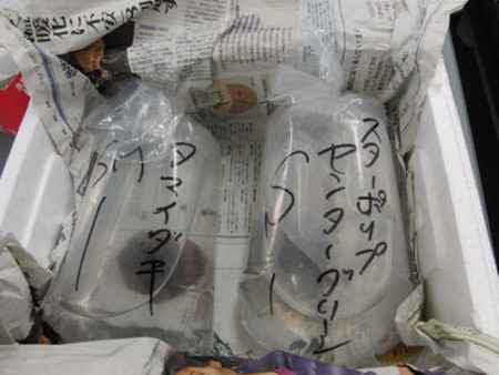 f:id:akaricenter:20091204162131j:image f:id:akaricenter:20091204162131j:image