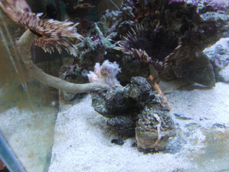 f:id:akaricenter:20100126210212j:image f:id:akaricenter:20100126210212j:image