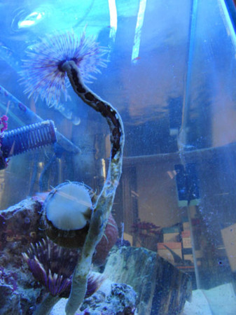 f:id:akaricenter:20100218112946j:image f:id:akaricenter:20100218112946j:image