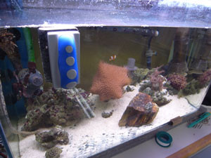 f:id:akaricenter:20100305152021j:image f:id:akaricenter:20100305152021j:image