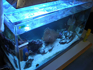f:id:akaricenter:20100305153216j:image f:id:akaricenter:20100305153216j:image