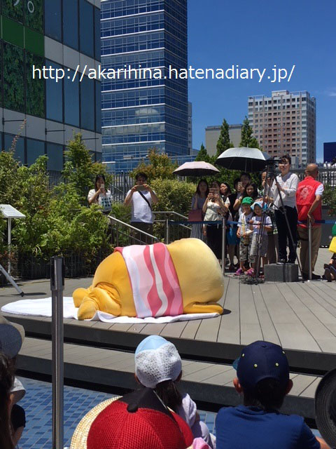 f:id:akarihina:20180702235459j:plain f:id:akarihina:20180702235459j:plain