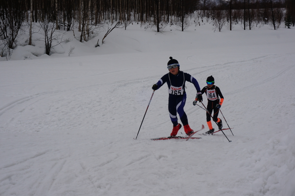 f:id:akarin-gogo775:20180304214240j:plain f:id:akarin-gogo775:20180304214240j:plain