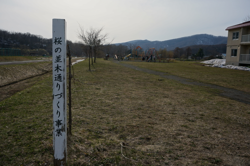 f:id:akarin-gogo775:20180423214247j:plain