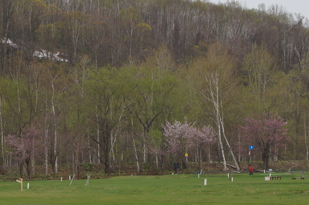 f:id:akarin-gogo775:20180502125738j:plain