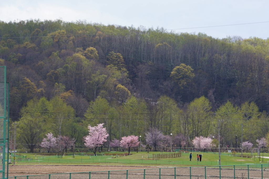 f:id:akarin-gogo775:20180504162253j:plain f:id:akarin-gogo775:20180504162253j:plain