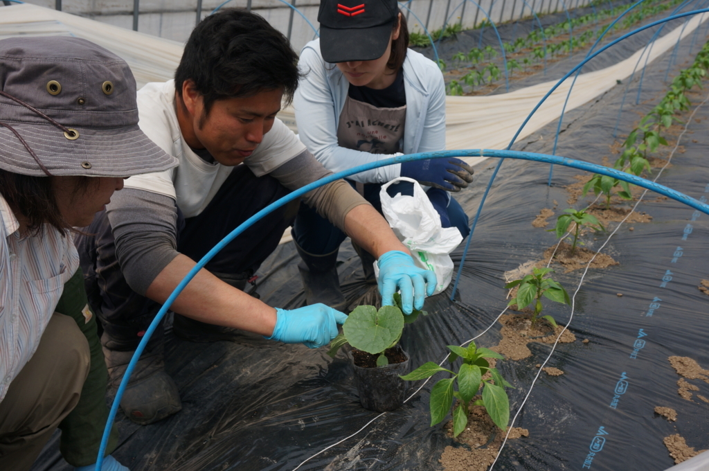 f:id:akarin-gogo775:20180509142203j:plain