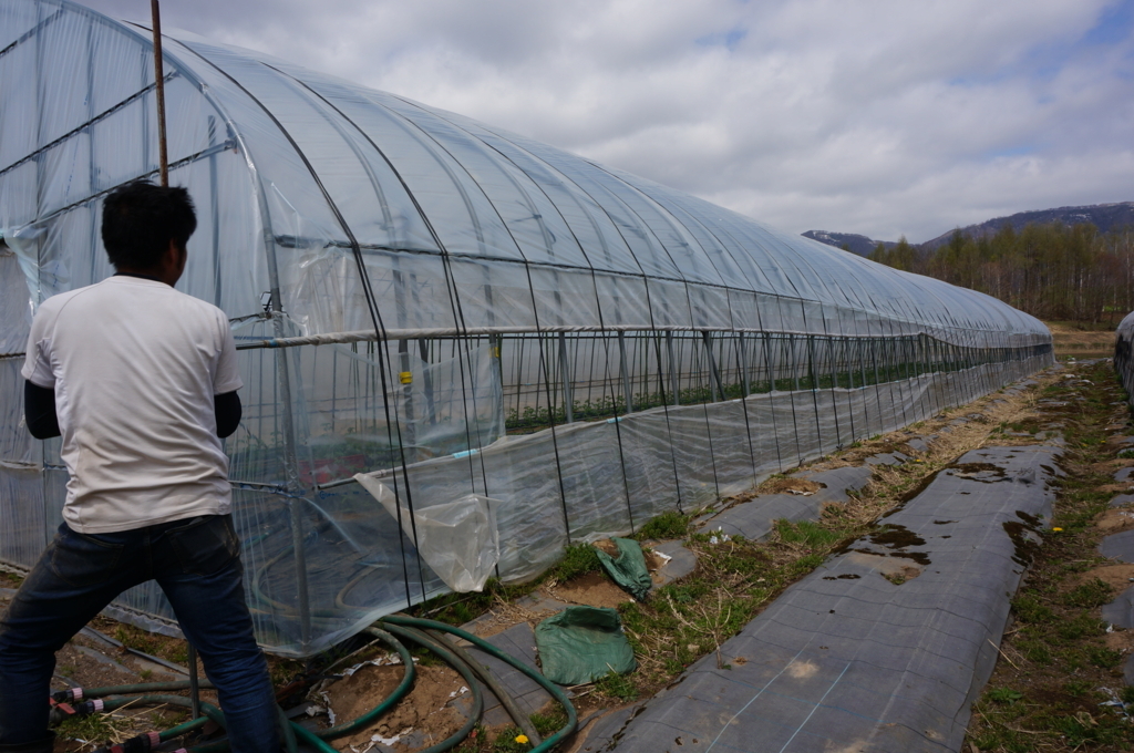 f:id:akarin-gogo775:20180509143022j:plain