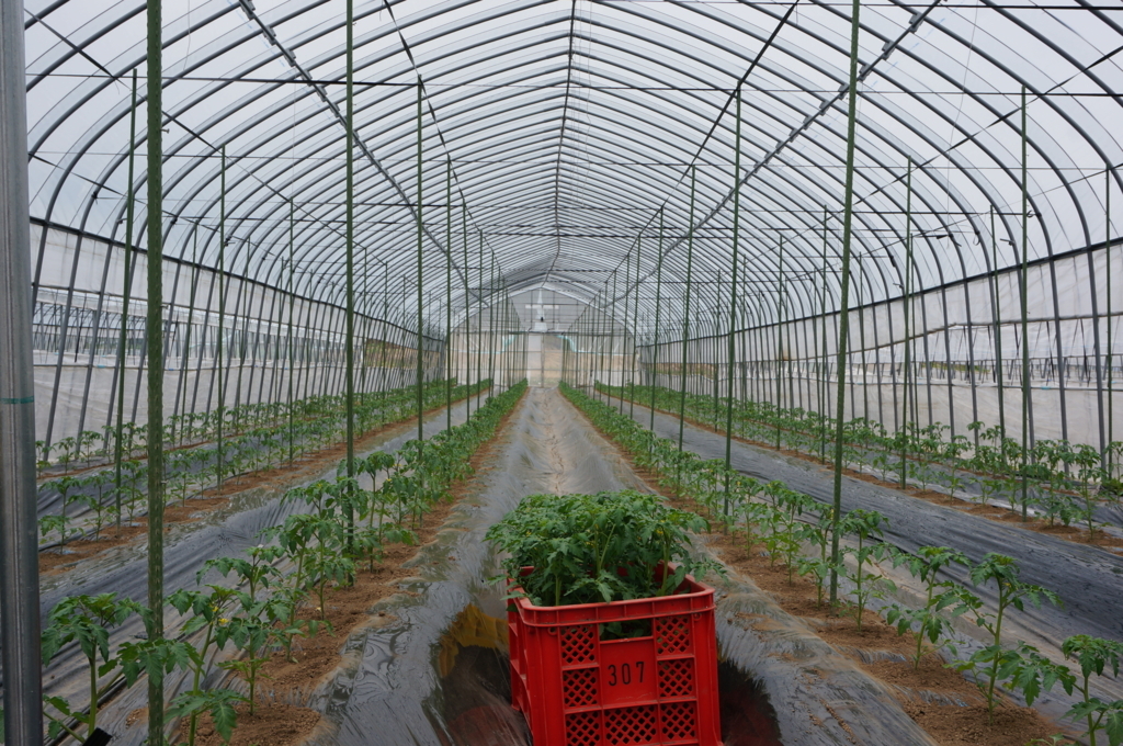 f:id:akarin-gogo775:20180509143225j:plain