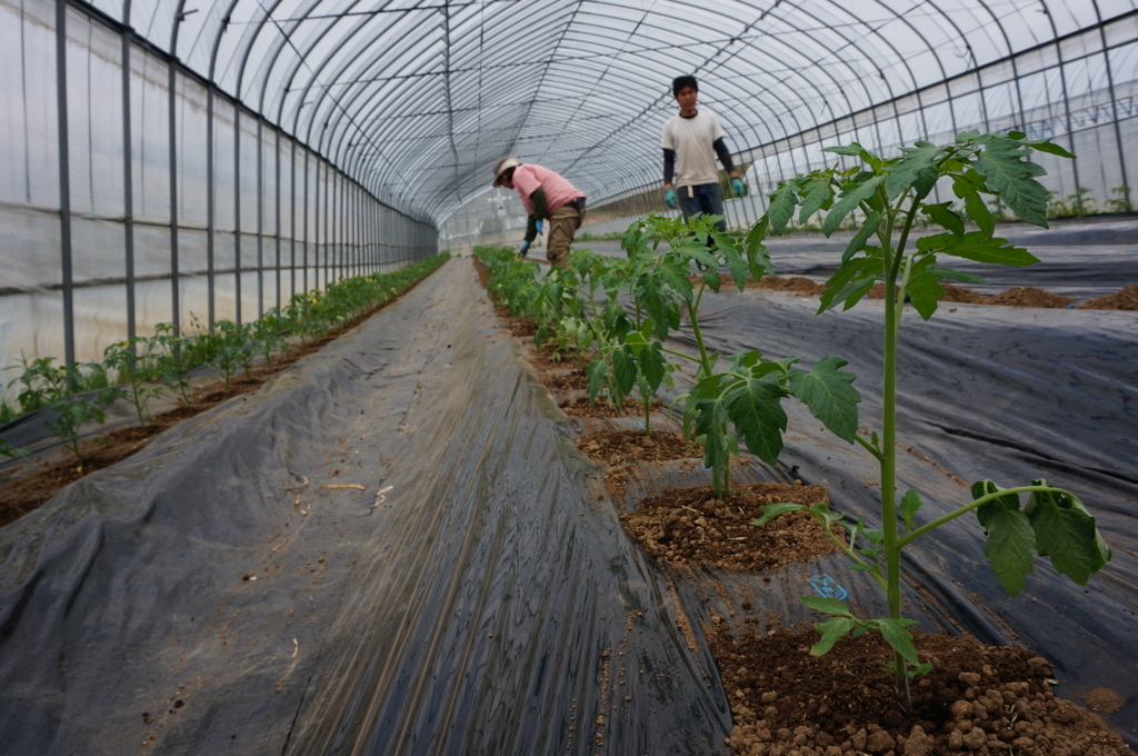 f:id:akarin-gogo775:20180509143256j:plain