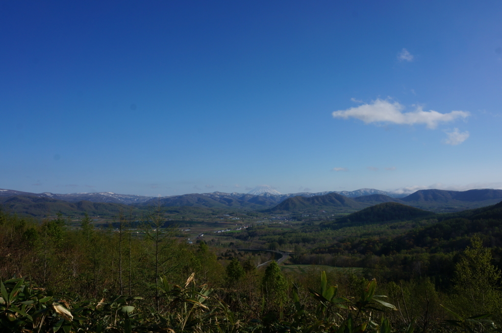 f:id:akarin-gogo775:20180514222915j:plain